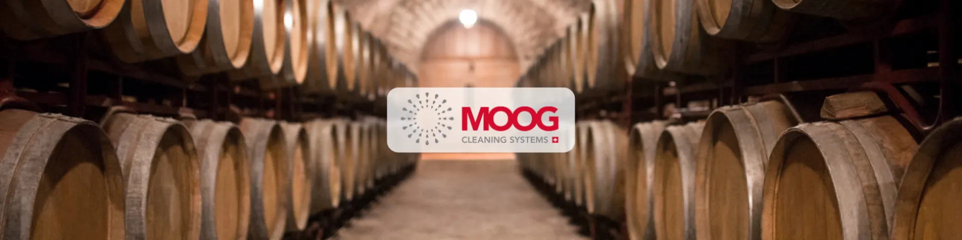 MOOG Weinfassreiniger