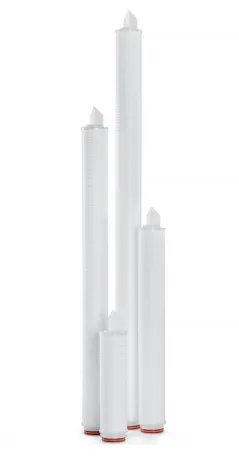CLAROX PL/E 10 K1S