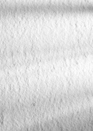 Carlson XE280H 60x61,4 cm Stk/Pack