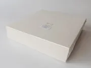 AF 15 20 x 20 cm 25 Stk/Pack