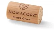 Smart Green 42 x 23 abgeschrägt, unbedruckt